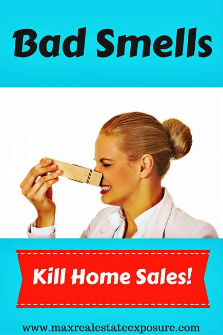 Remove Bad Home Smells