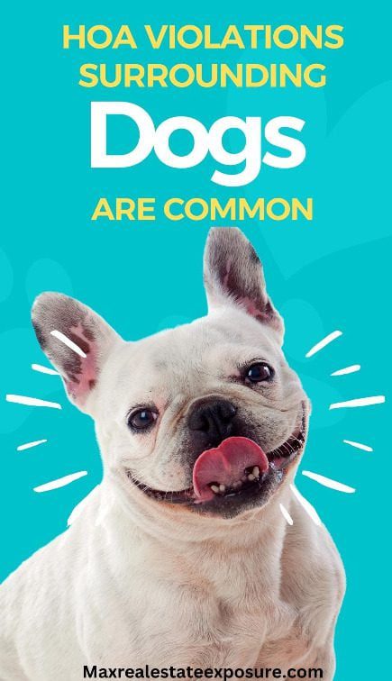 HOA Violations For Dogs