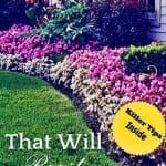 Improvements to Increase Home Value