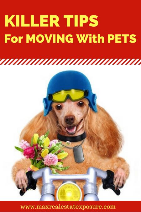 Tips For Moving With Pets
