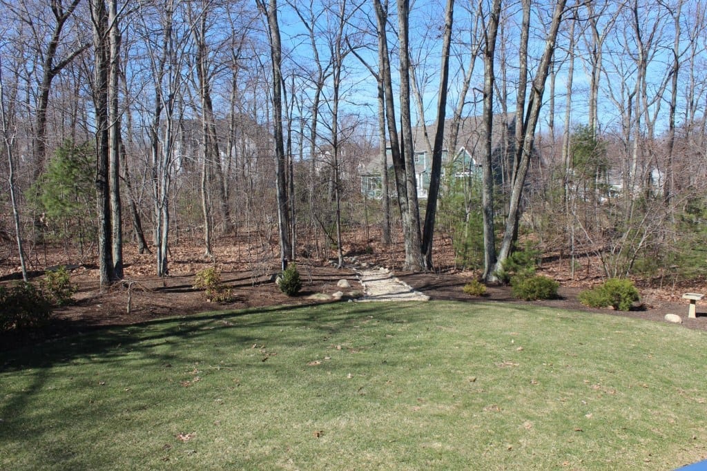 Back Yard - 9 Bowker Rd, Hopkinton